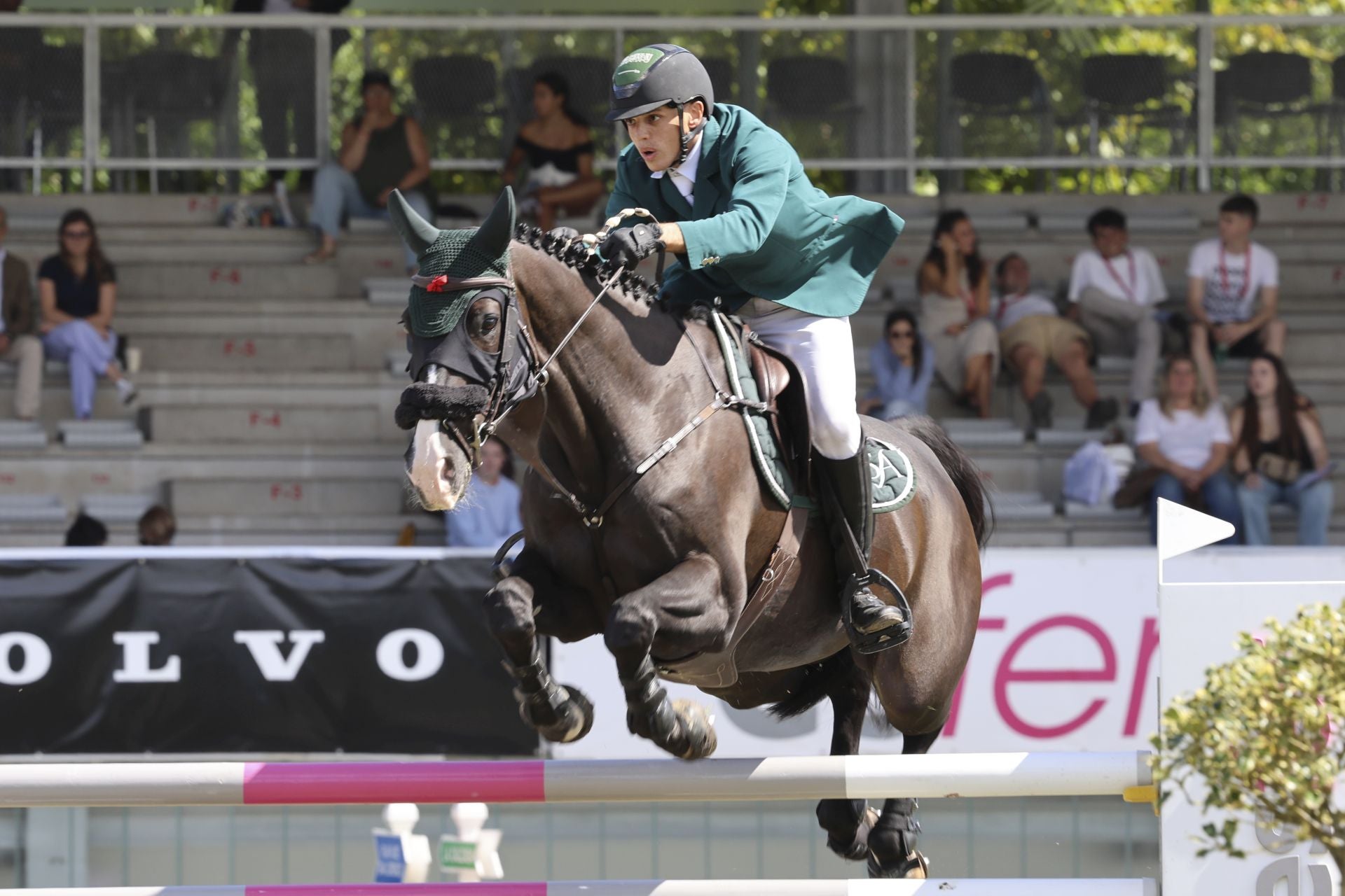 Llenazo en el hípico este domingo