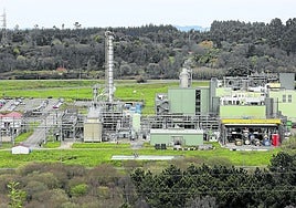 Instalaciones de DuPont en el valle de Tamón.