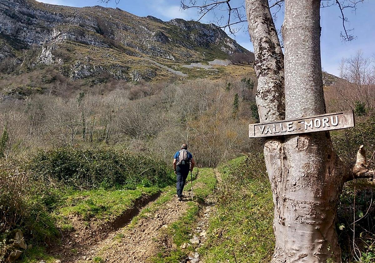 Subir a pie hasta Valle Moru, en las entrañas de Ponga; conocer Banduxu, llegando a pie hasta la aldea y subiendo más para verla desde arriba; seguir los pasos del rey Favila hasta un alto modesto de enormes vistas; o coronar Vega Baxu, una majada llena de magia en Redes.