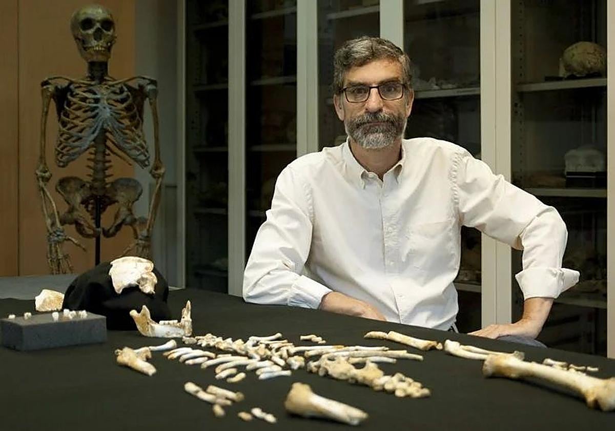 Antonio Rosas, ante el esqueleto original de un neandertal niño.