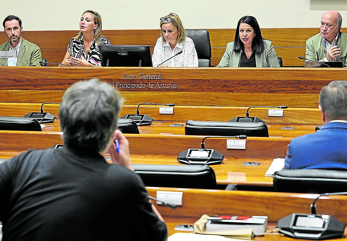 El director general de Custodia del Territorio, David Villar, a la izquierda de la mesa, donde están los diputados Delia Campomanes, Covadonga Tomé y Luis Venta.
