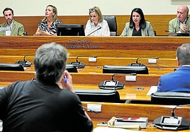 El director general de Custodia del Territorio, David Villar, a la izquierda de la mesa, donde están los diputados Delia Campomanes, Covadonga Tomé y Luis Venta.