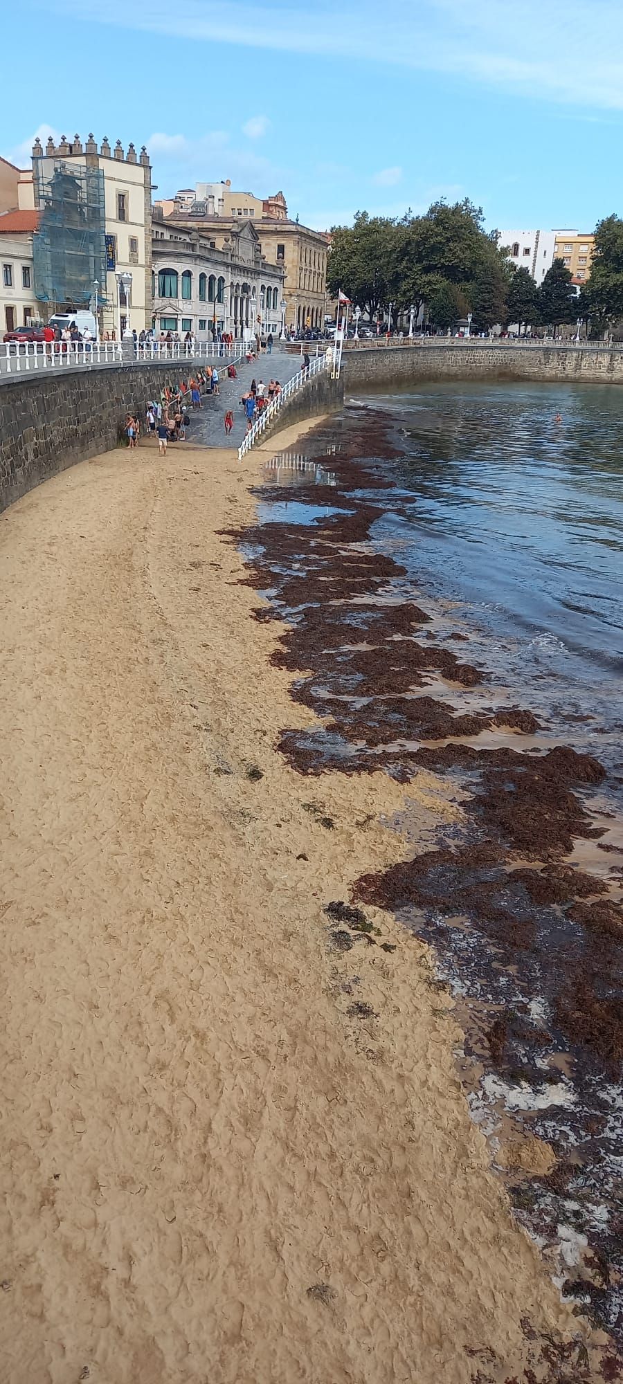 Fotos: Así luce la playa de San Lorenzo invadida por el ocle