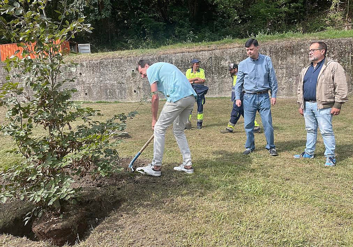 Javier Abel Menéndez, el galardonado: Manuel Llaneza, presidente de Langreanos en el Mundo; y Roberto García, alcalde de Langreo, durante la plantación de la haya