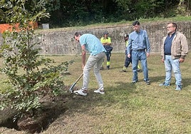 Javier Abel Menéndez, el galardonado: Manuel Llaneza, presidente de Langreanos en el Mundo; y Roberto García, alcalde de Langreo, durante la plantación de la haya