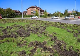 Fozadas de jabalí en la rotonda del 'caballo', puerta de entrada a Viesques, en Gijón.