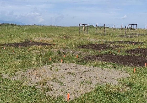 Actuación en una de las zonas del mierense monte Víctor