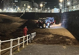 Camión alineado con el ocle amontonado en la arena para su recogida anoche.