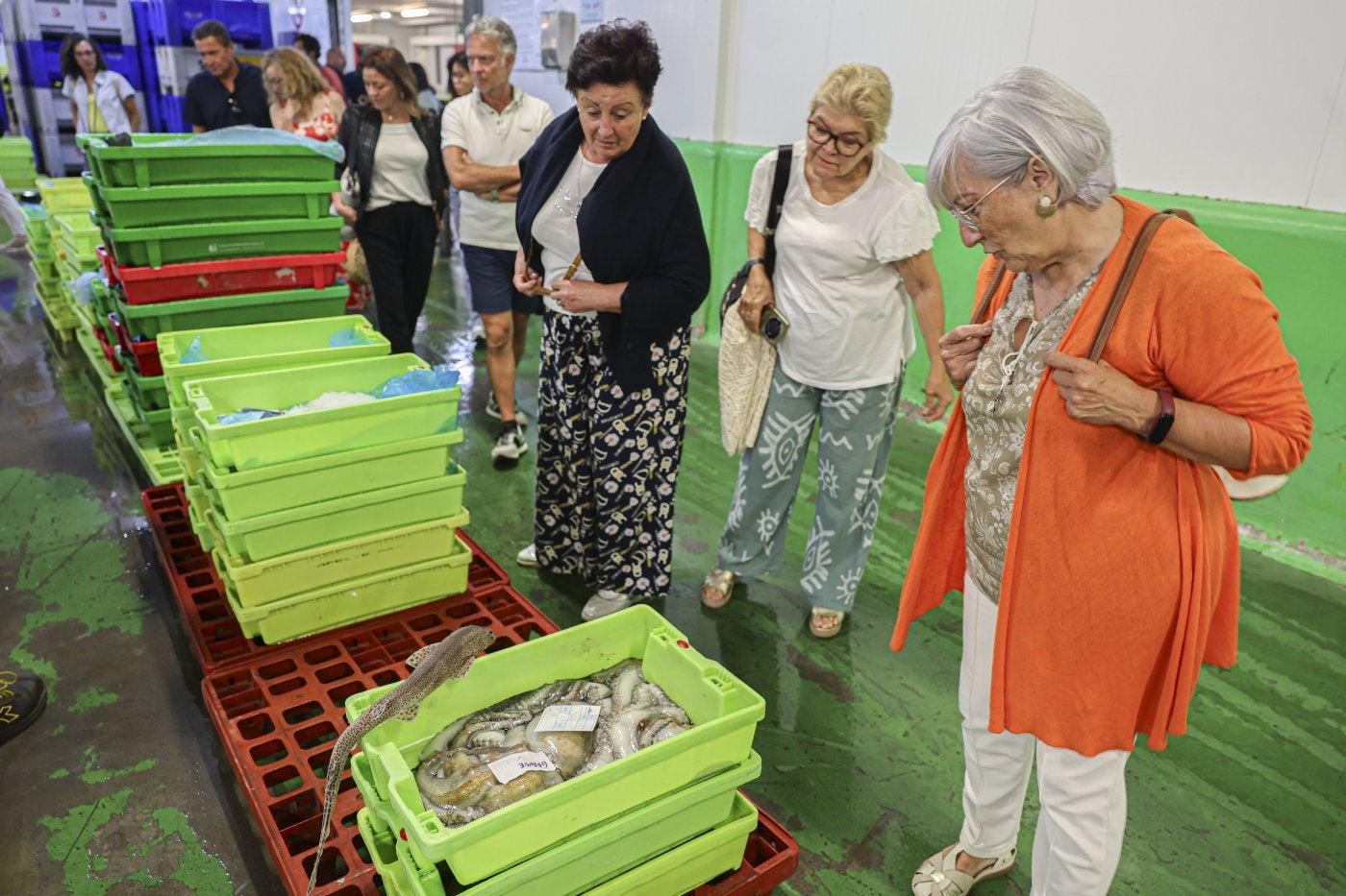 Una de las visitas a la rula de Avilés este verano.