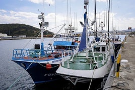 Embarcaciones pesqueras atracadas ayer a mediodía en los muelles del puerto de Avilés.