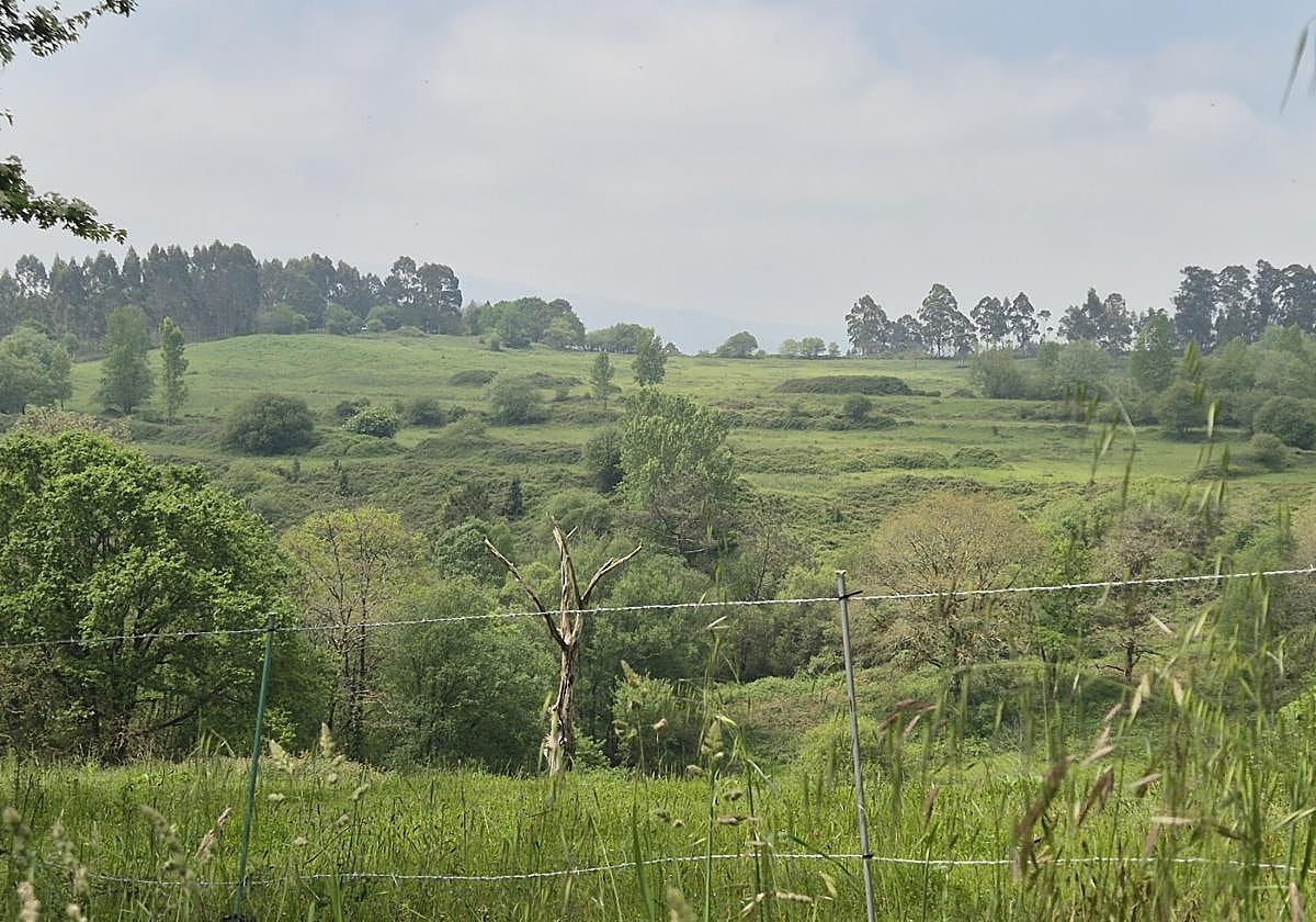 Terrenos de la futura ciudad deportiva del Real Oviedo, cuyas obras podrían comenzar en nueve meses.