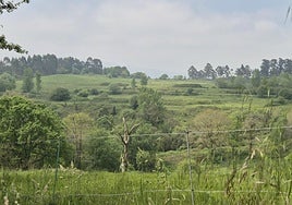 Terrenos de la futura ciudad deportiva del Real Oviedo, cuyas obras podrían comenzar en nueve meses.