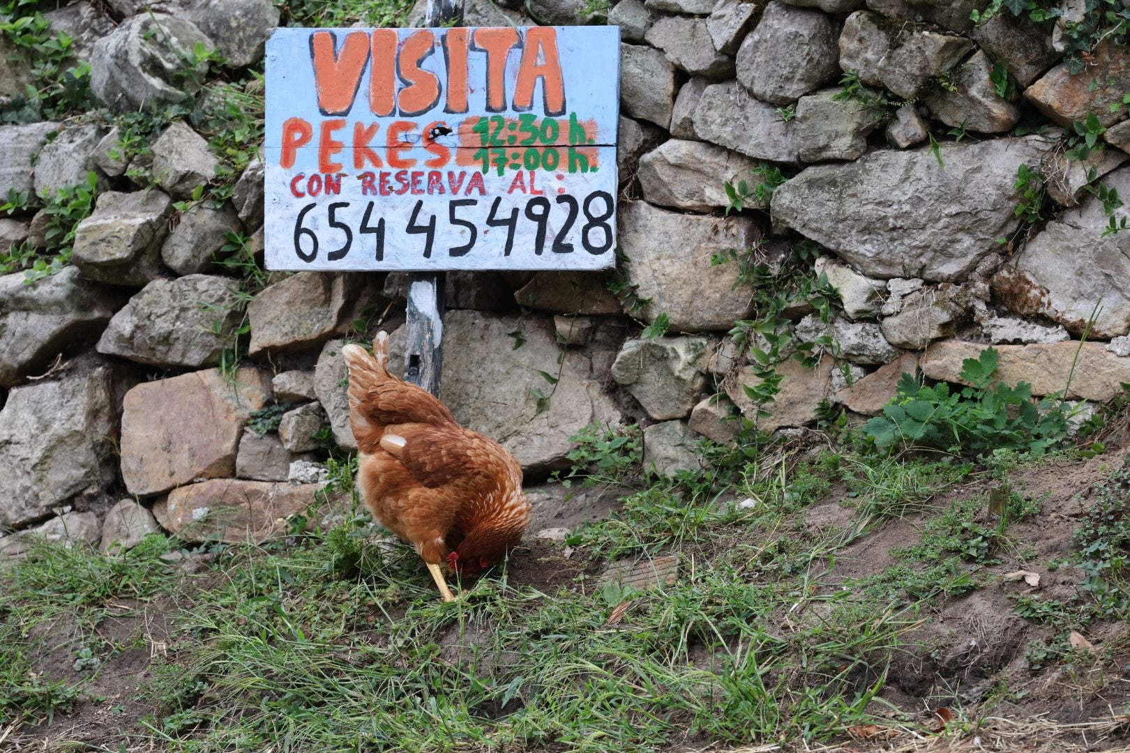 Una muerte tras una paliza en Ribadesella: las imágenes del suceso