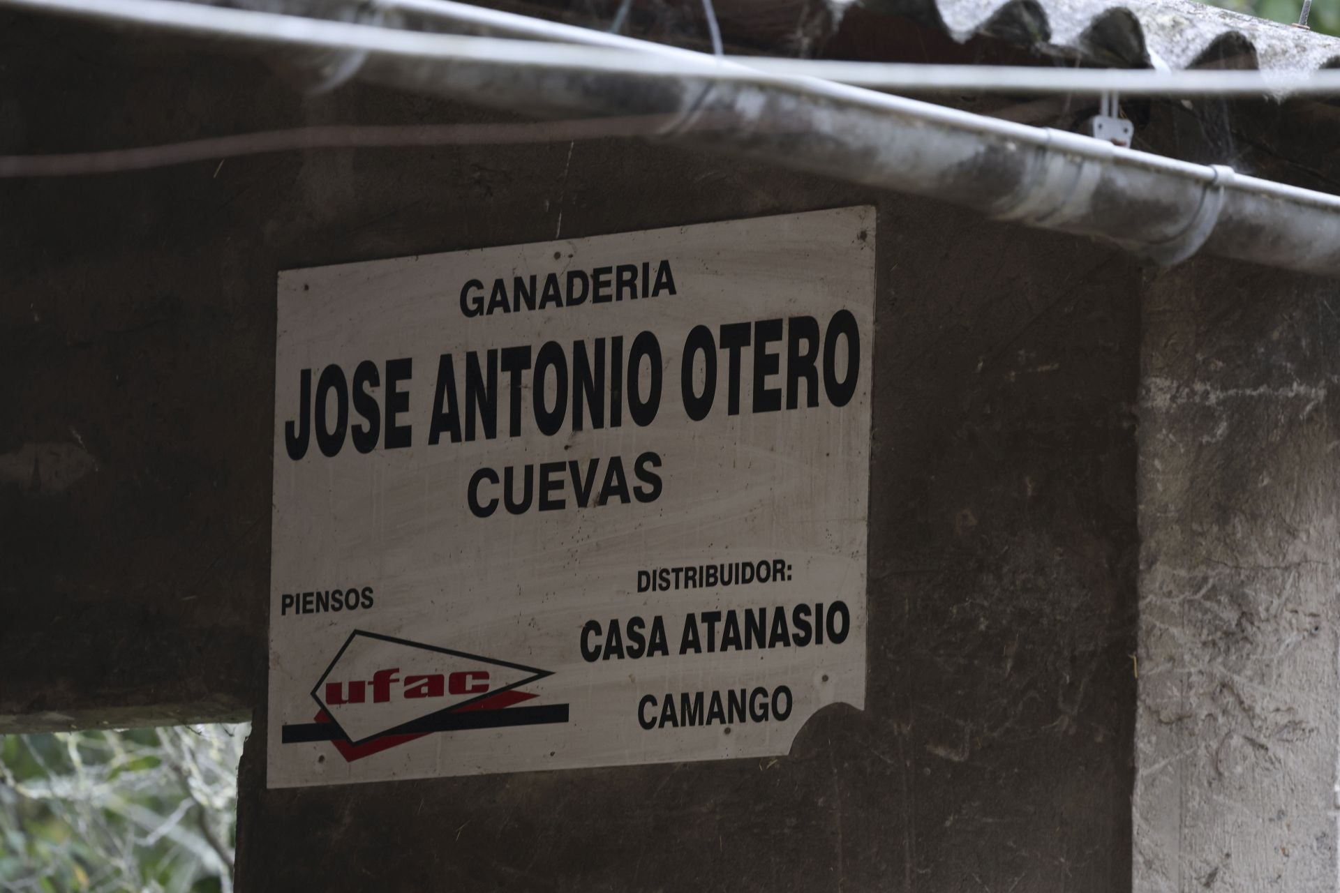 Una muerte tras una paliza en Ribadesella: las imágenes del suceso