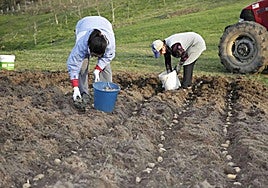 Bruselas reforzará a los agricultores en la cadena alimentaria