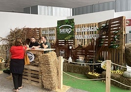 Expositor del Ayuntamiento de Siero, listo este viernes.