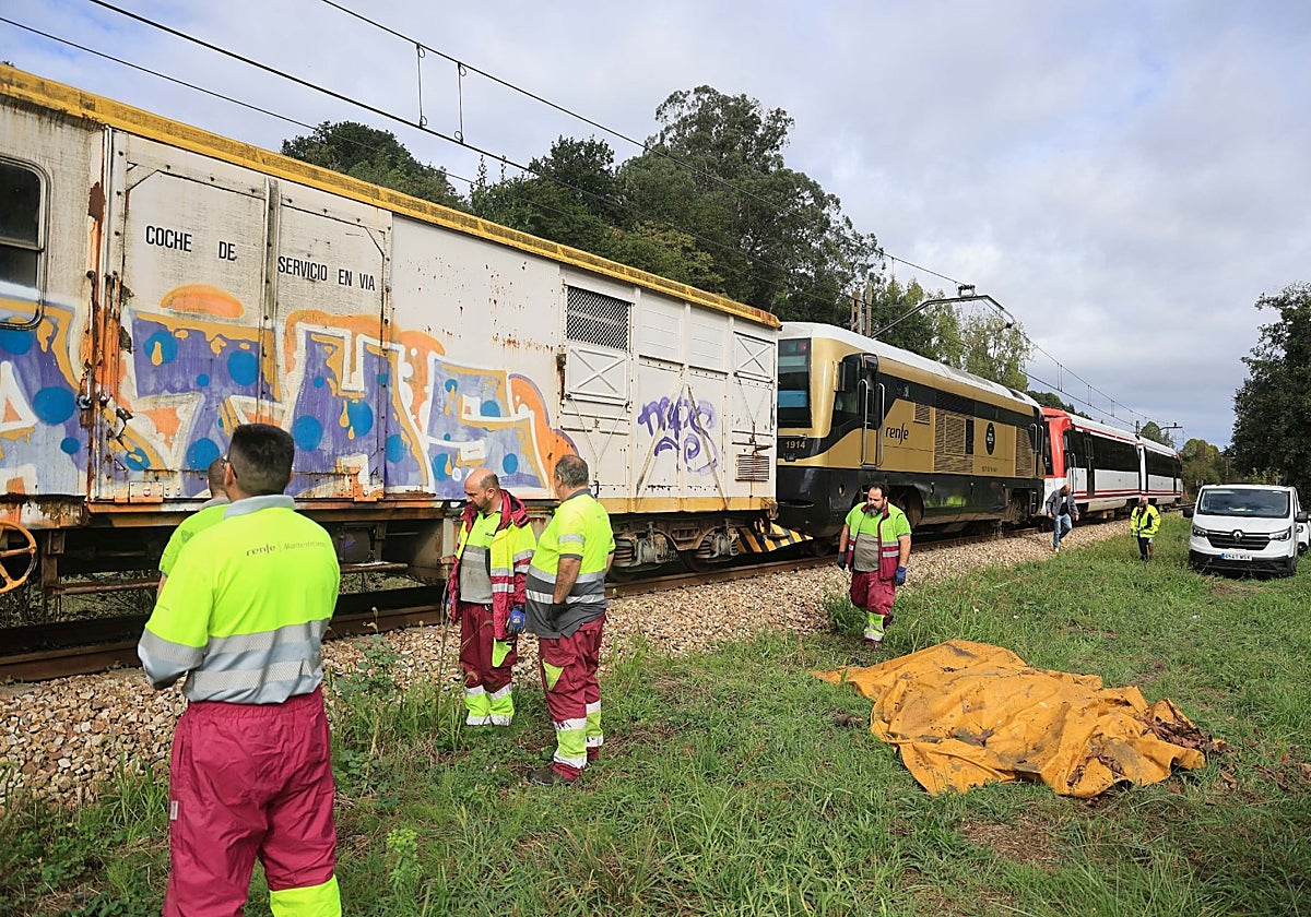 El cadáver de la vaca, tapado con una lona.