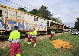 El cadáver de la vaca, tapado con una lona.