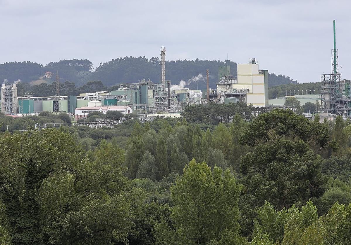 Imagen general del emplazamiento de DuPont en el valle de Tamón.