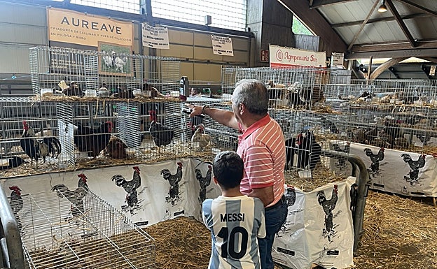 Visitantes ante la muestra de aves.