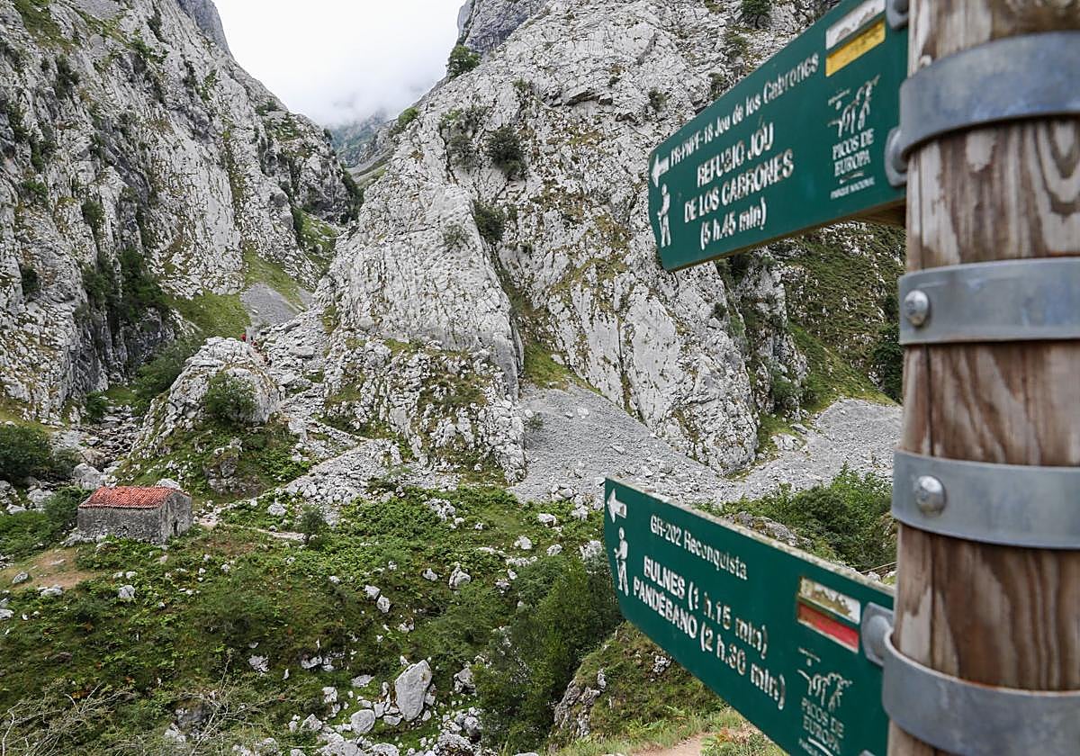 Herido un británico tras un desprendimiento de rocas en la Canal del Texu, en Cabrales