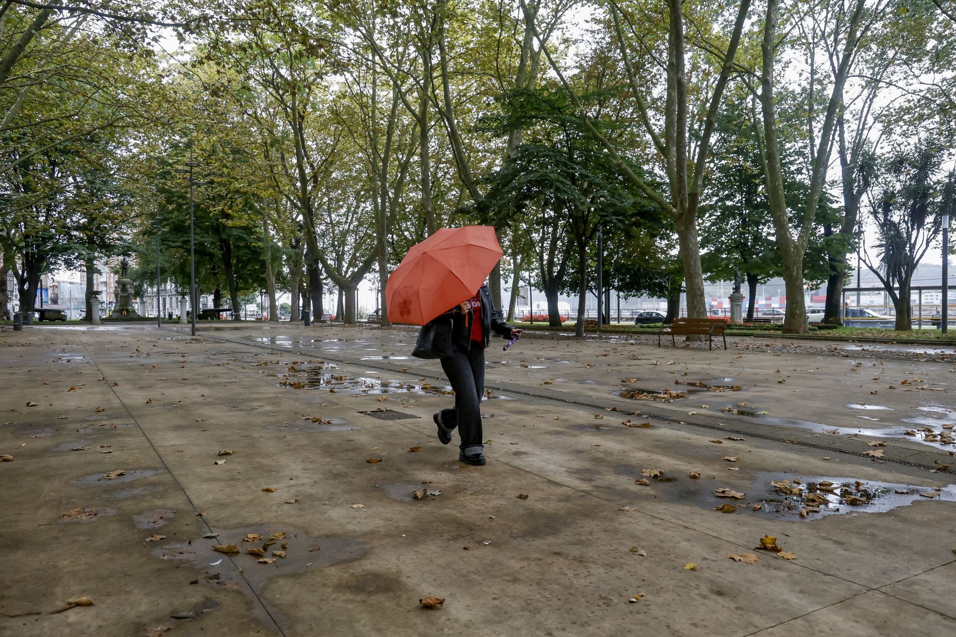 Lluvia, frío y viento: las imágenes de cómo Asturias da la bienvenida al otoño