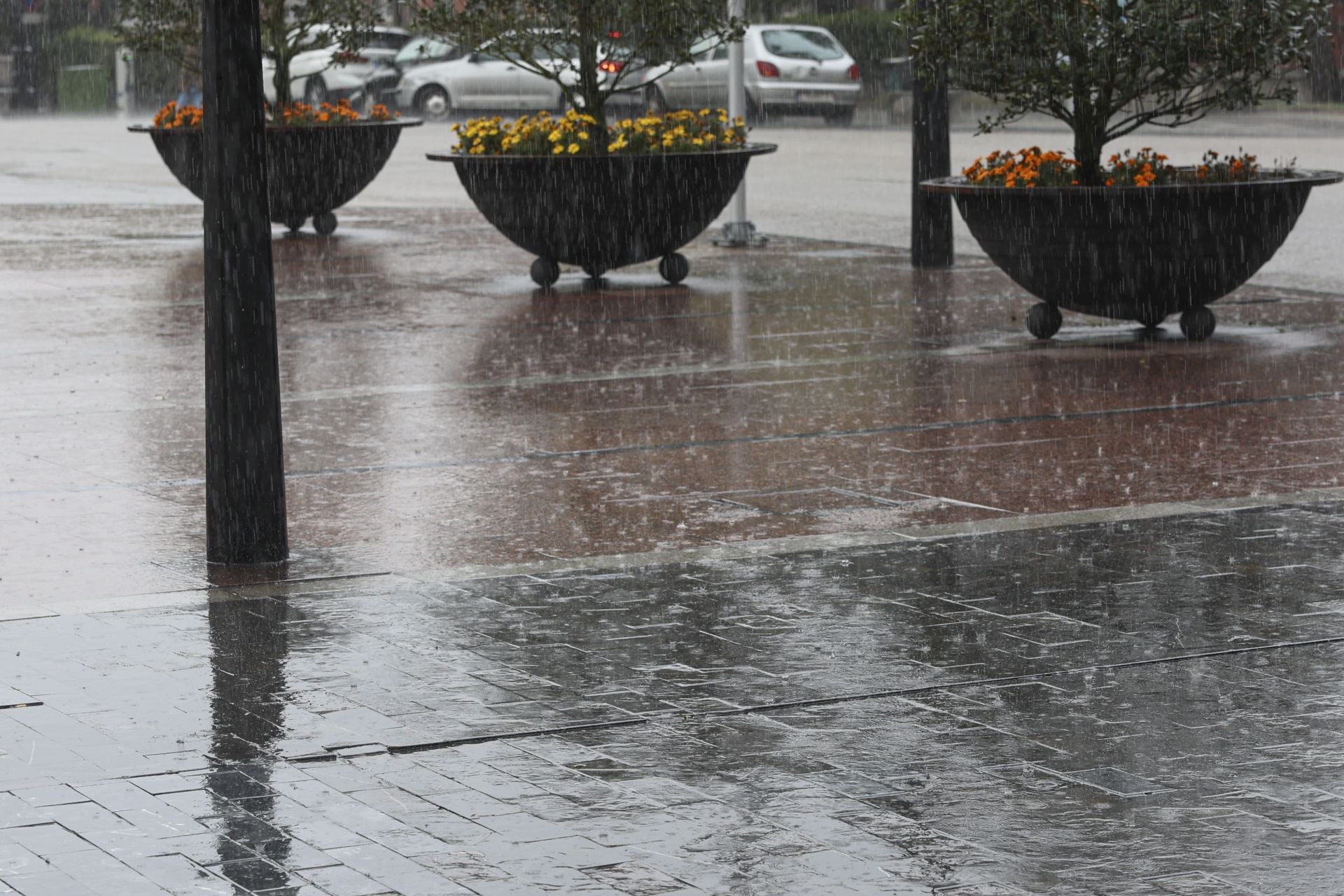 Lluvia, frío y viento: las imágenes de cómo Asturias da la bienvenida al otoño