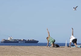 Un barco con contenedores, a su paso por delante de la playa de Poniente.