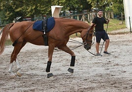 Pista usada por los jinetes para calentar en Las Mestas que será remodelada por el Patronato Deportivo.