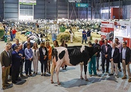 Autoridades, representantes de la Cámara de Comercio de Gijón y expositores junto a una vaca frisona en el pabellón central del recinto Luis Adaro.