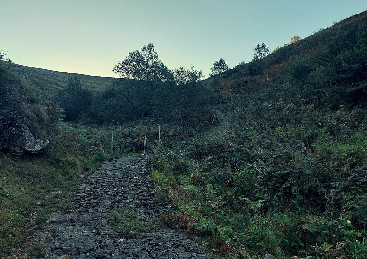 Imagen secundaria 1 - Las cimas del pico la Loral y Buey Muerto, discretas pero con panorámicas amplias, se combinan en esta ruta con calzadas de piedra, bosque, brañas...