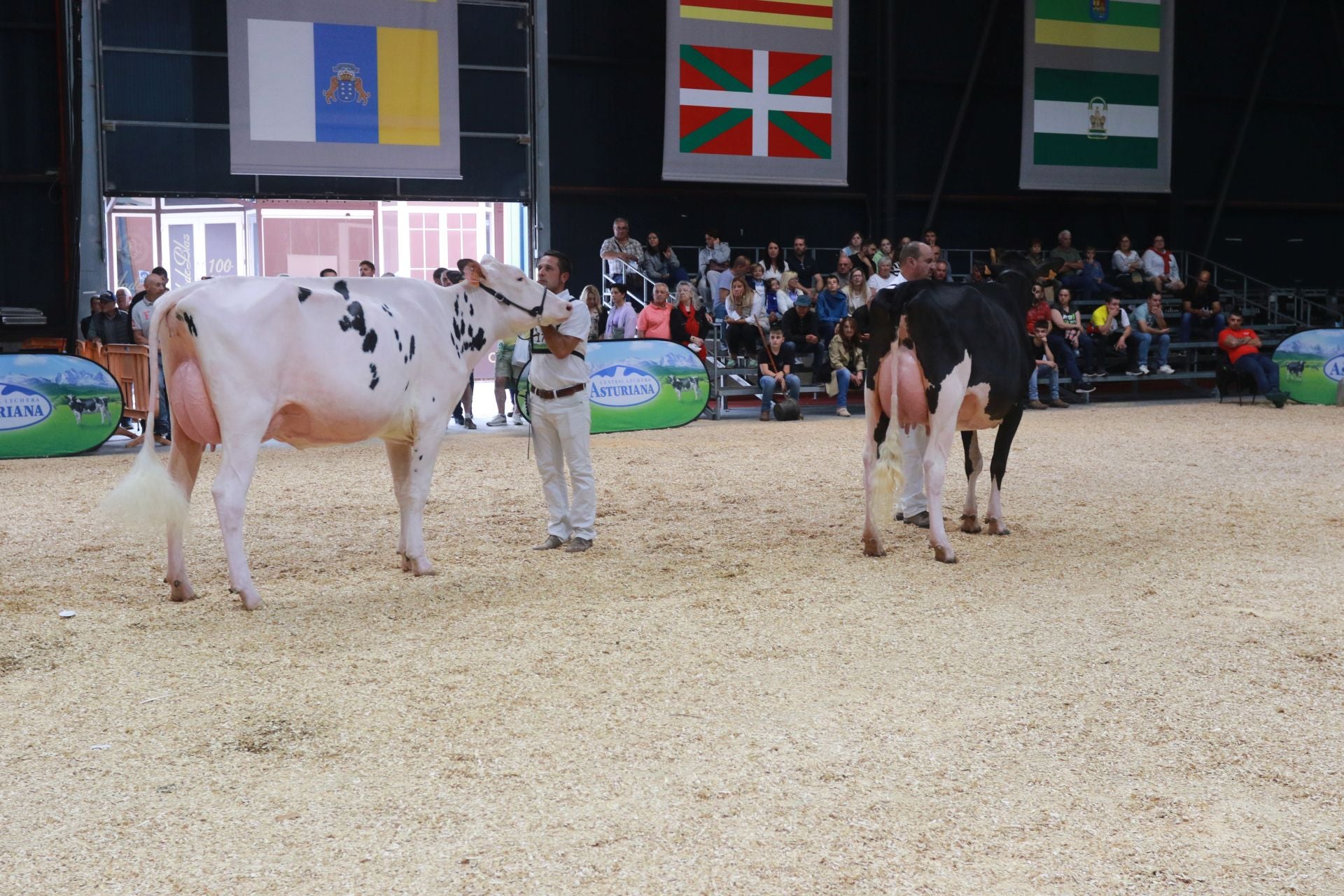 Agropec, desde dentro: así es la feria del sector agrícola, pesquero, ganadero y forestal
