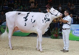 Agropec, desde dentro: así es la feria del sector agrícola, pesquero, ganadero y forestal