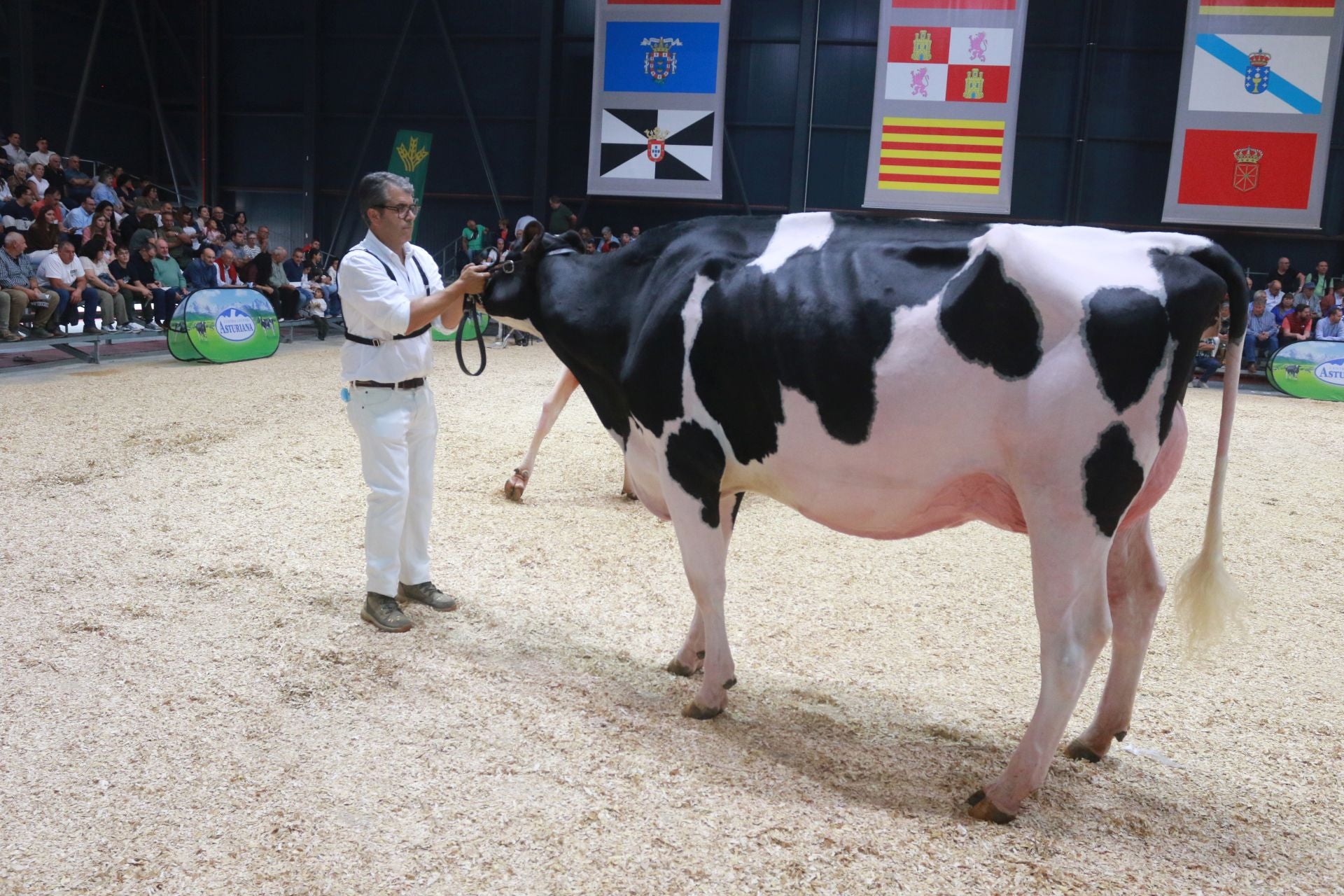Agropec, desde dentro: así es la feria del sector agrícola, pesquero, ganadero y forestal