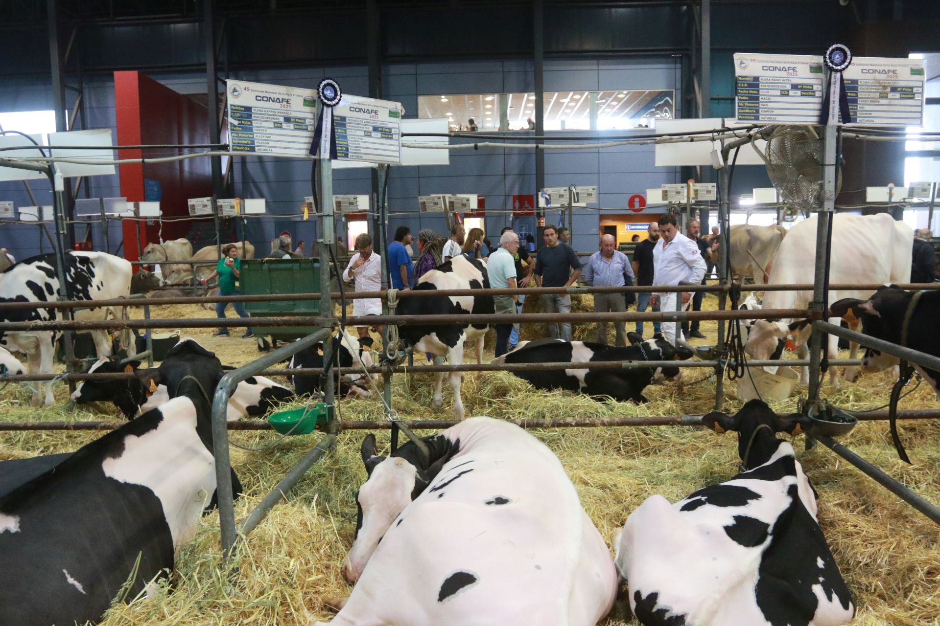 Agropec, desde dentro: así es la feria del sector agrícola, pesquero, ganadero y forestal