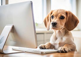 ¿Quieres despedir a tu mascota con nosotros? Puedes hacerlo en el nuevo canal de EL COMERCIO