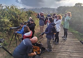 Asistentes al taller de avistamiento de aves, este domingo.