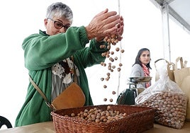 Festival de la Avellana de Infiesto.