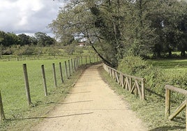 Un tramo de la senda fluvial del Piles que se prolonga desde Viesques hasta La Camocha.
