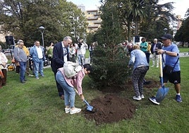 Los improvisados jardineros han echado las últimas paladas de tierra en la base del tejo.