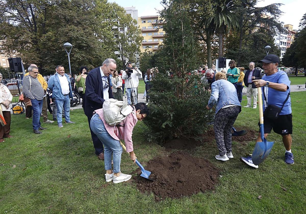 Los improvisados jardineros han echado las últimas paladas de tierra en la base del tejo.