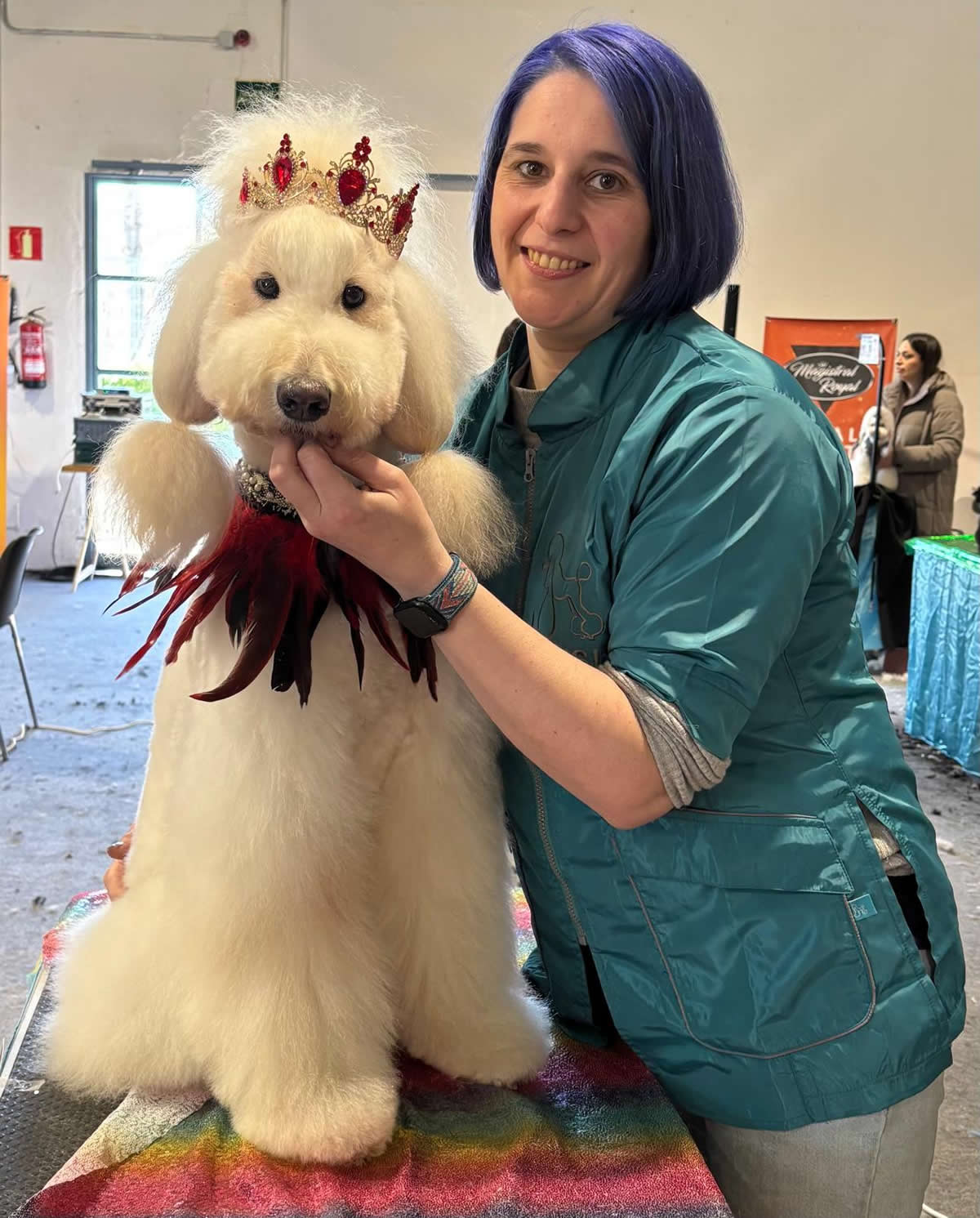 a moda también llega para nuestras mascotas. El tinte de colores es una opción