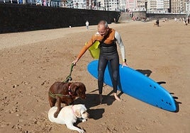 Koa y Freya, los labradores de Juan Manuel Santiago, aprovechan la temporada perruna para surfear con su dueño.