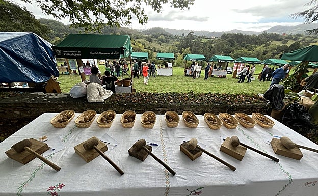 Las muestras de nueces de los onces puestos participantes en el concurso.