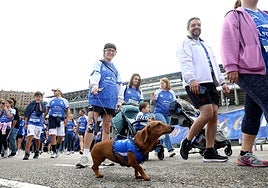 El centenario del Real Oviedo tiñe las calles de azul
