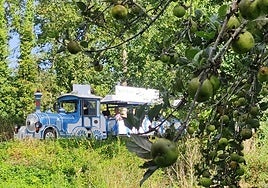 La Villa celebra su XXXV Festival de la Manzana