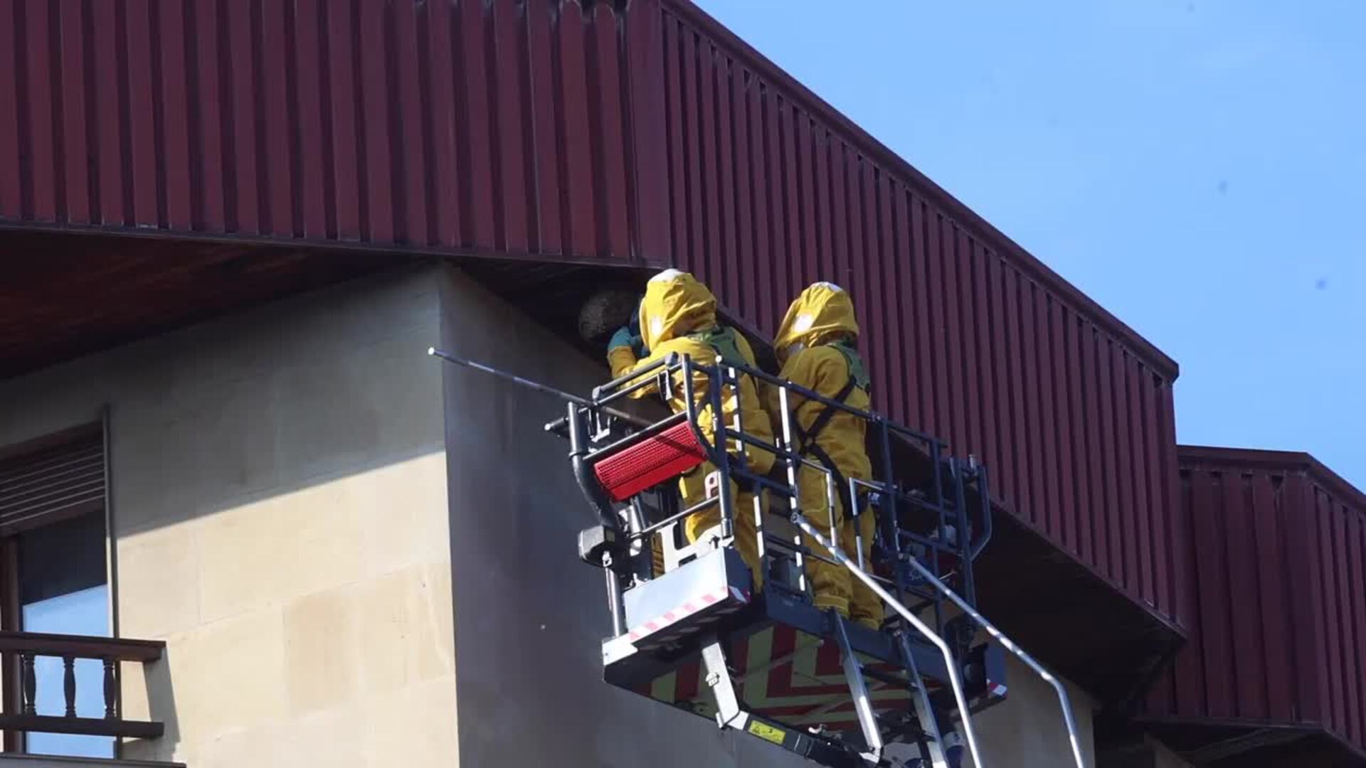 Los bomberos de Gijón retiran un nido de vespa velutina de una cornisa