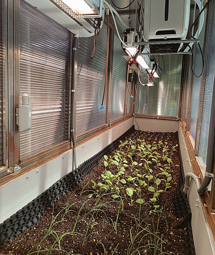 Imagen secundaria 2 - De arriba a abajo: trabajadores en el centro de CTIC RuralTech en Peón. Ricardo Cabeza, director general de El Gaitero, explica el proyecto de trazabilidad de la sidra con DOP. Cultivo en uno de los simuladores climáticos.