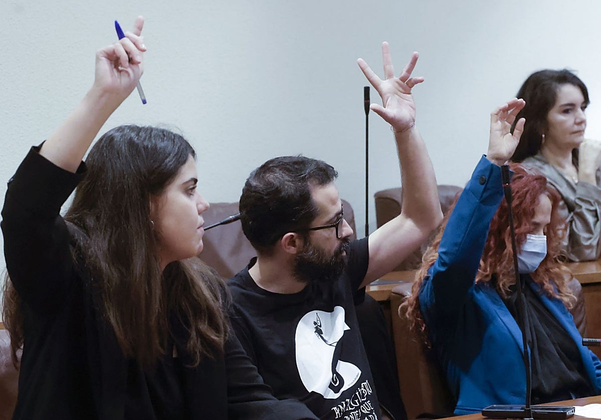 La concejala de Hacienda de Avilés, Raquel Ruiz (PSOE), en una votación junto al portavoz de Podemos, David García.