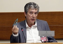 Santiago Berjano, jefe del Servicio de Minas del Principado, dando su versión en la Junta General.